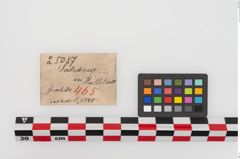 Etiketten zu Bronzemehrkopfnadel (NHMW-PRAE-025087)